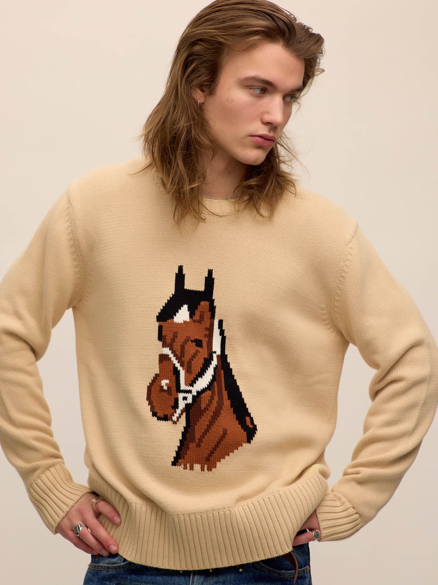 Horse head sweater