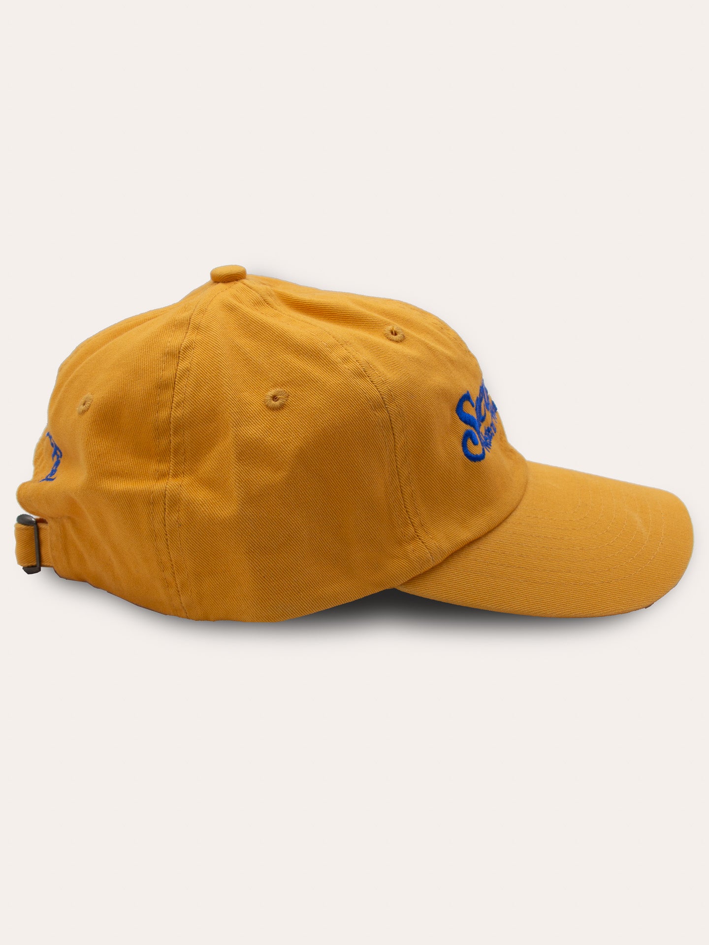 Dad cap